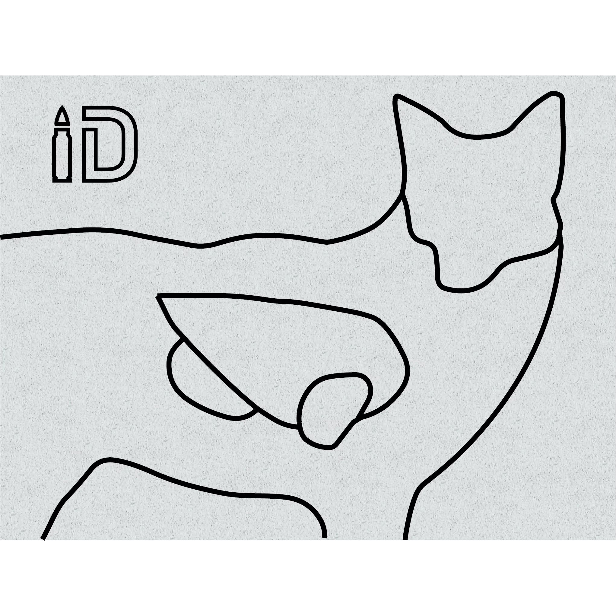 Coyote Infinity Target