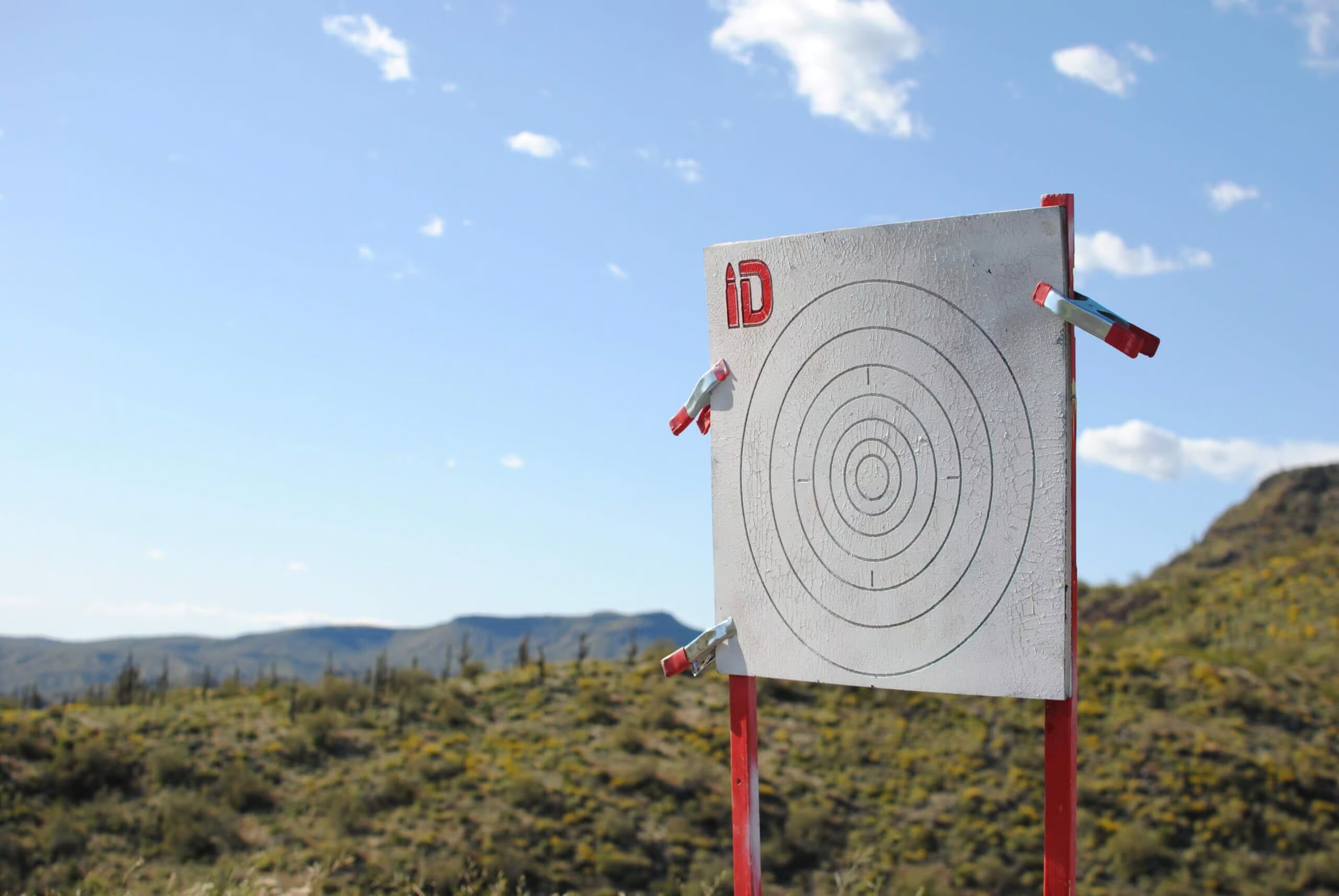 large bullseye B6 target outdoors on stand