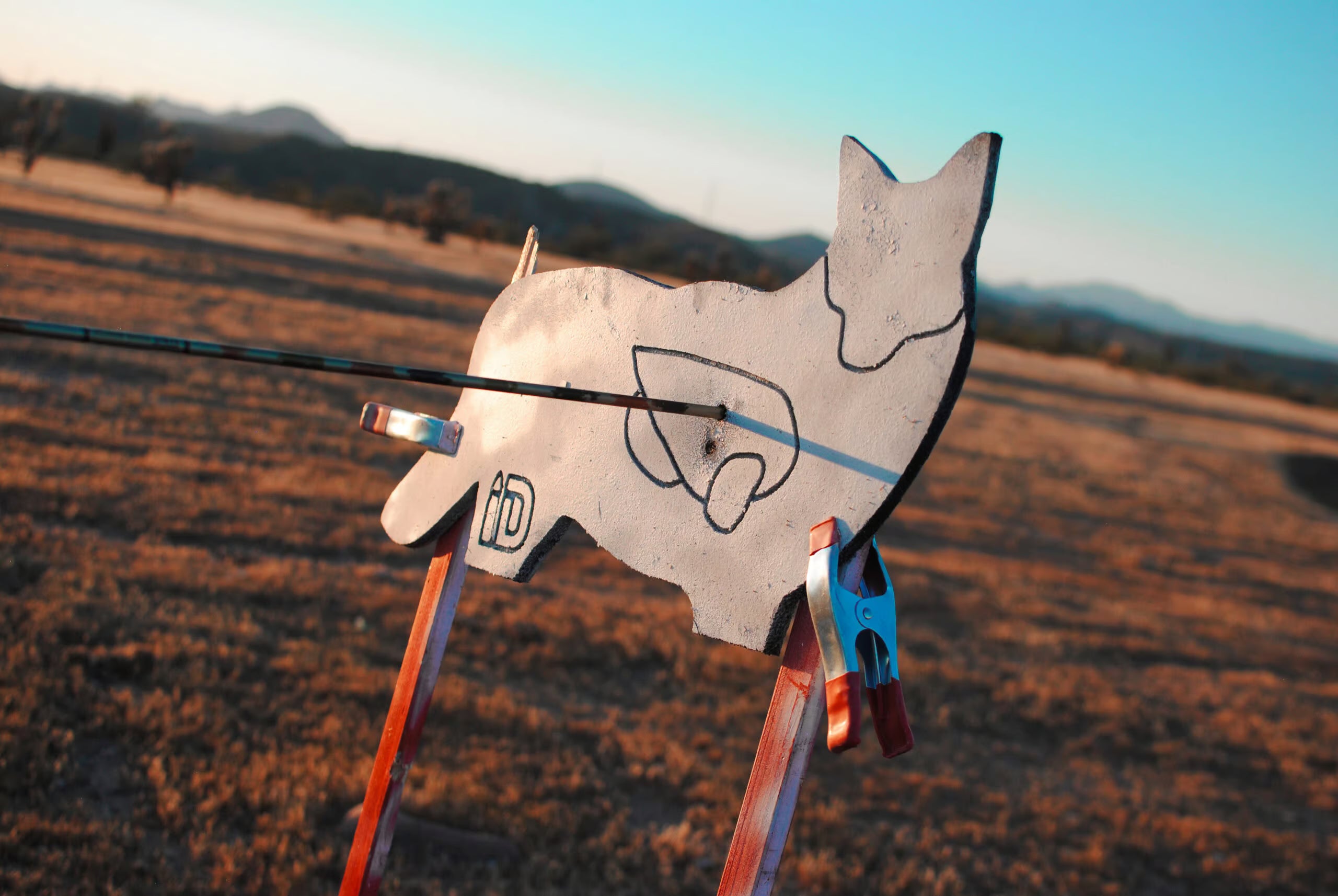 Coyote Infinity Target