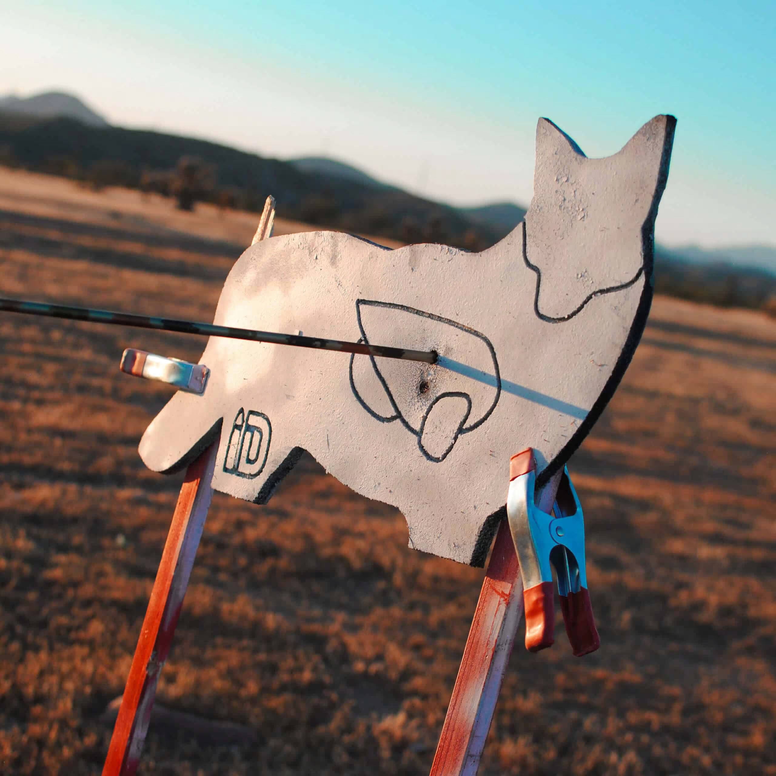 Coyote Infinity Target Self-Healing