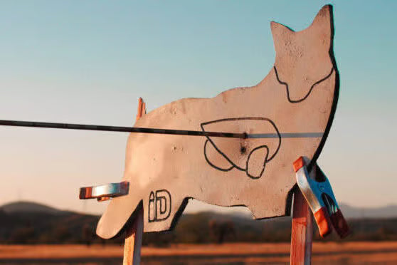 archery target