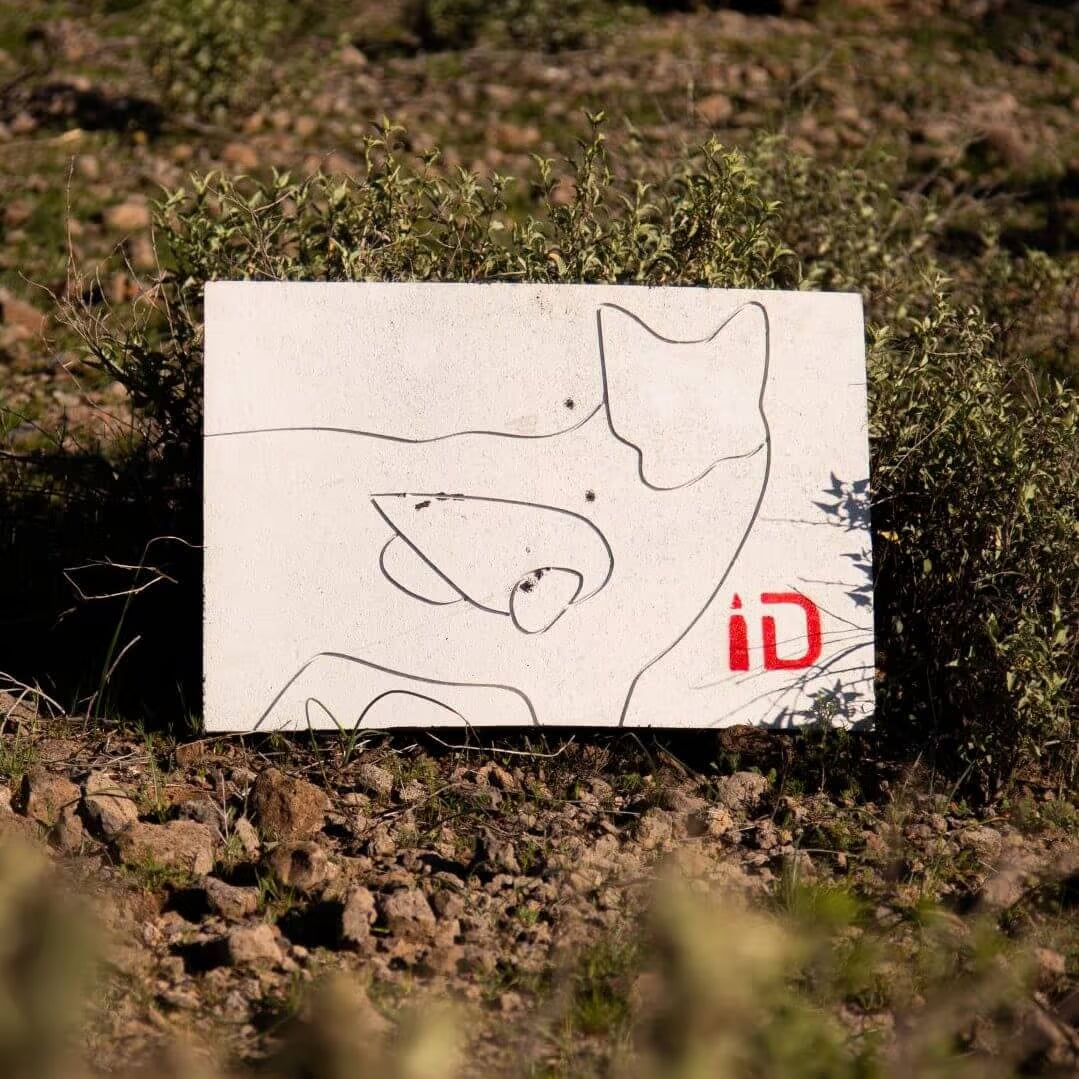 Coyote Infinity Target