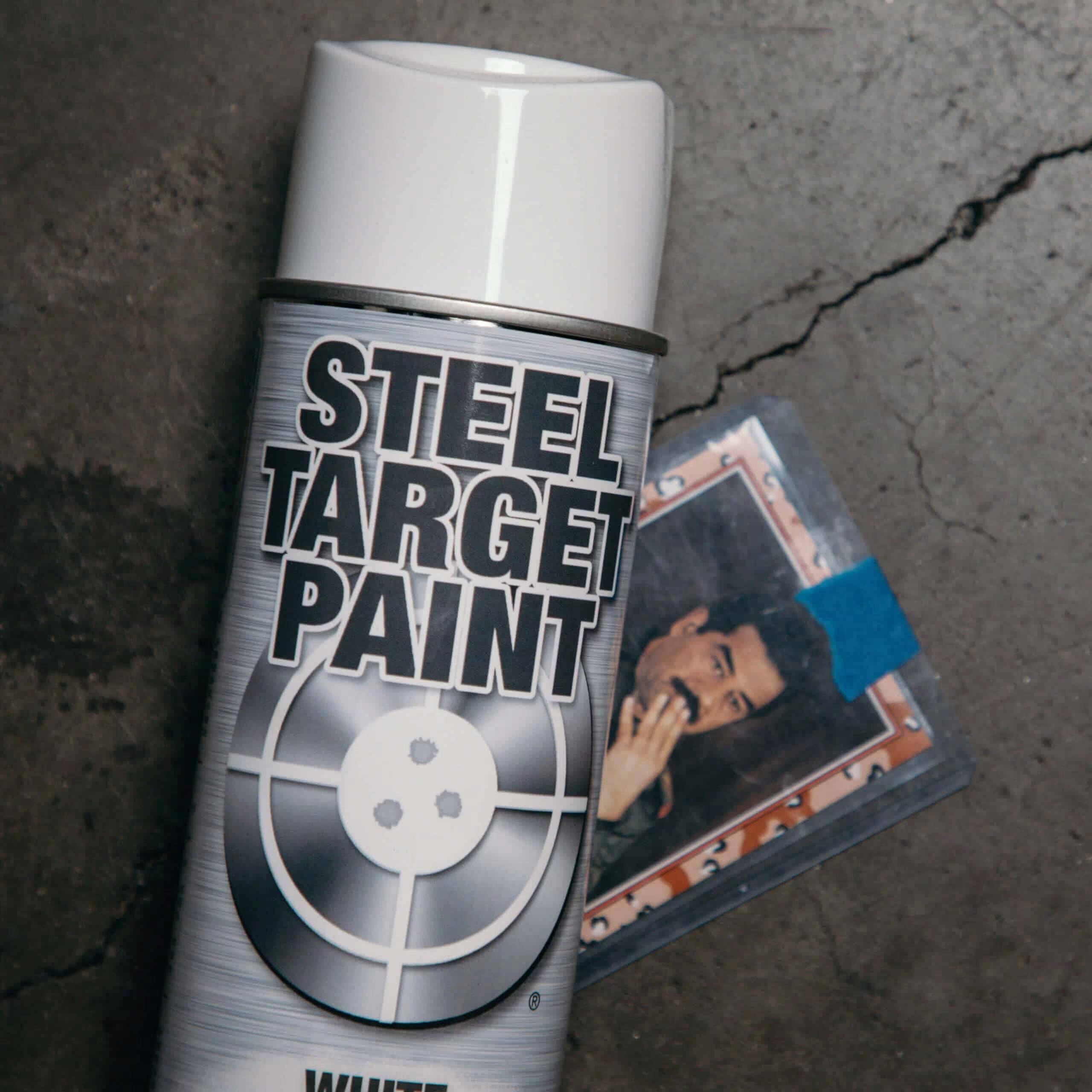 Steel Target Paint