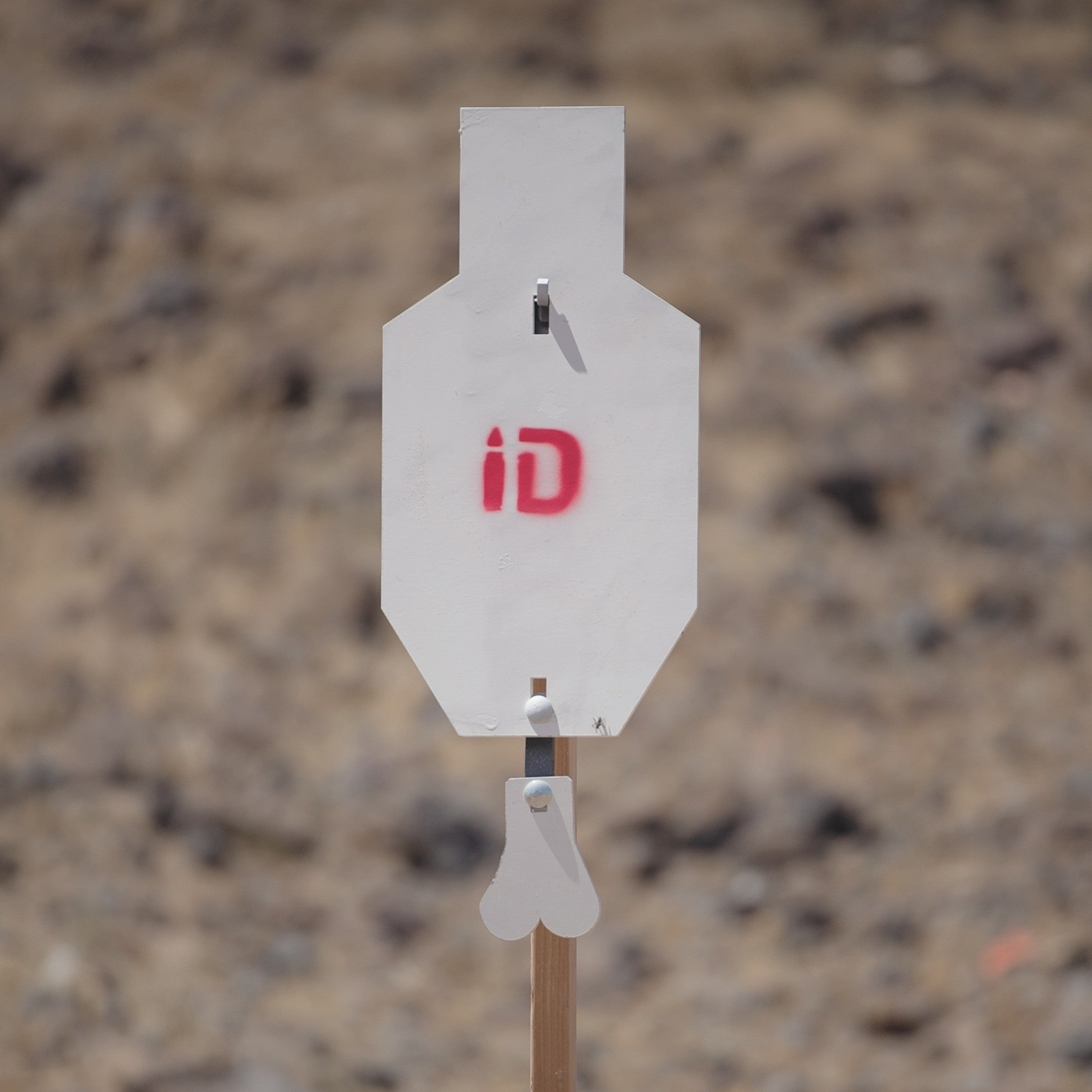 C-Zone Infinity Target Steel (Free Shipping)
