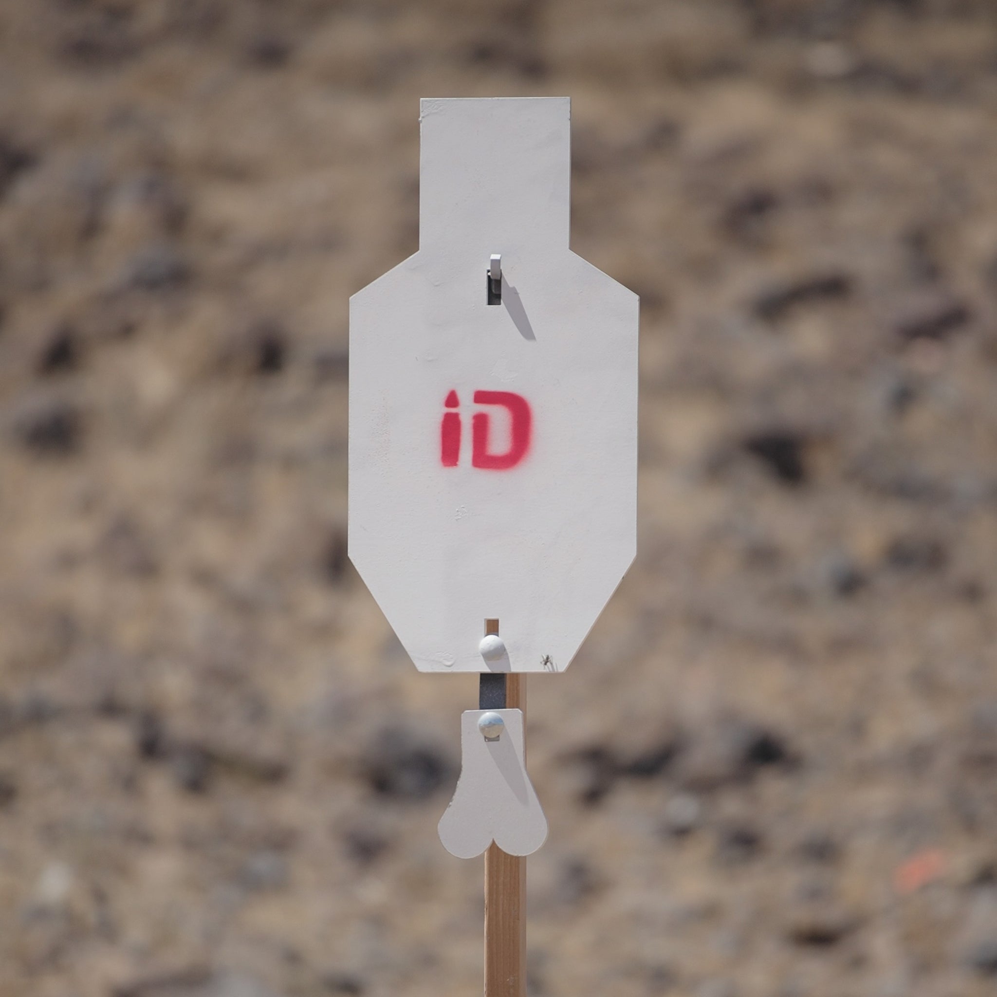 C-Zone Infinity Target Steel (Free Shipping)