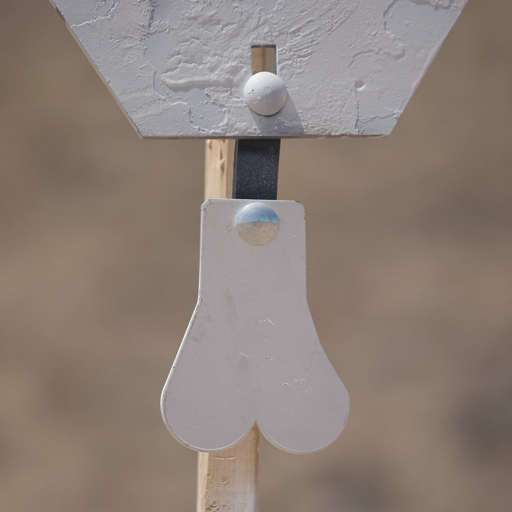 Speedbag Steel Target