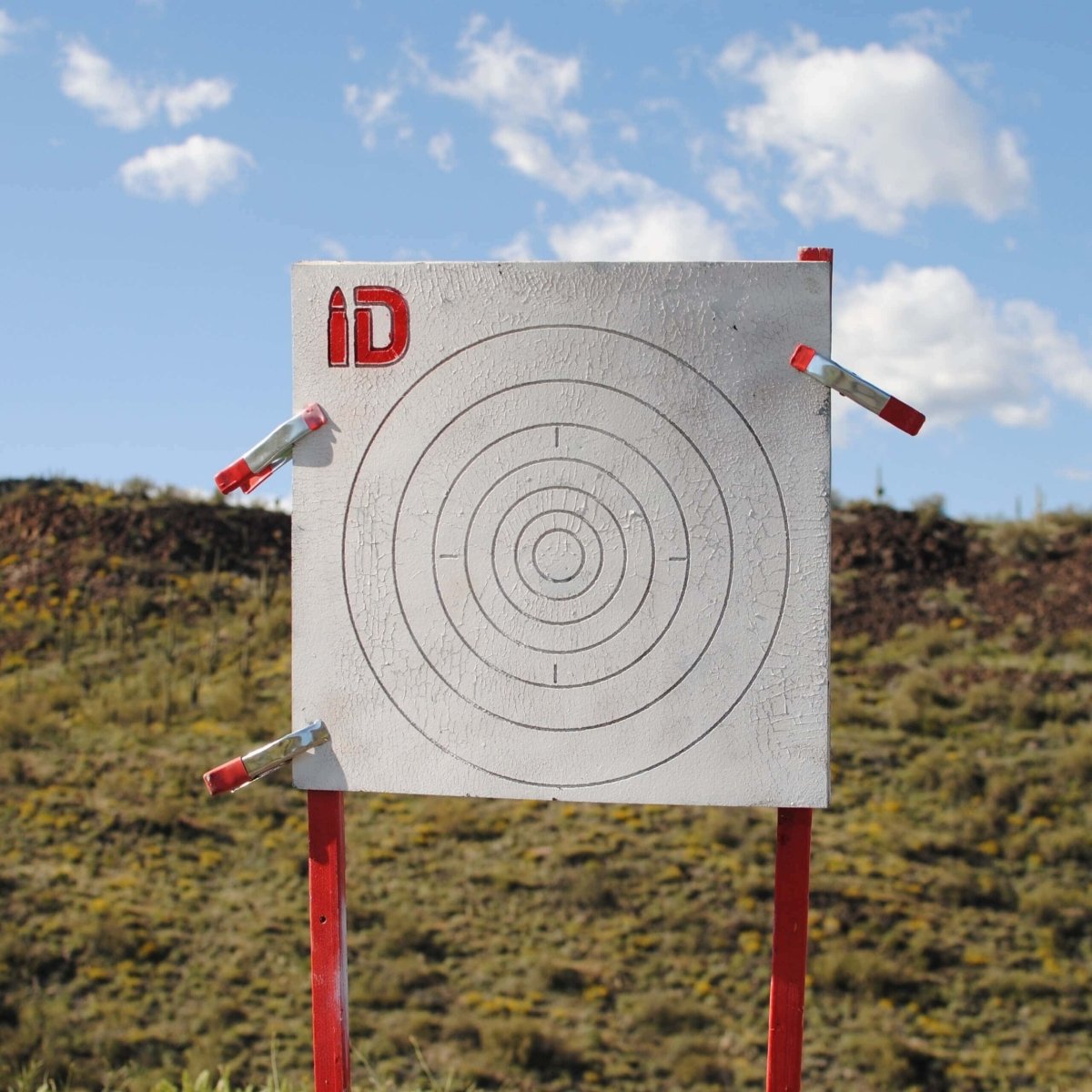 B6 Self - Healing Target - Infinity Targets