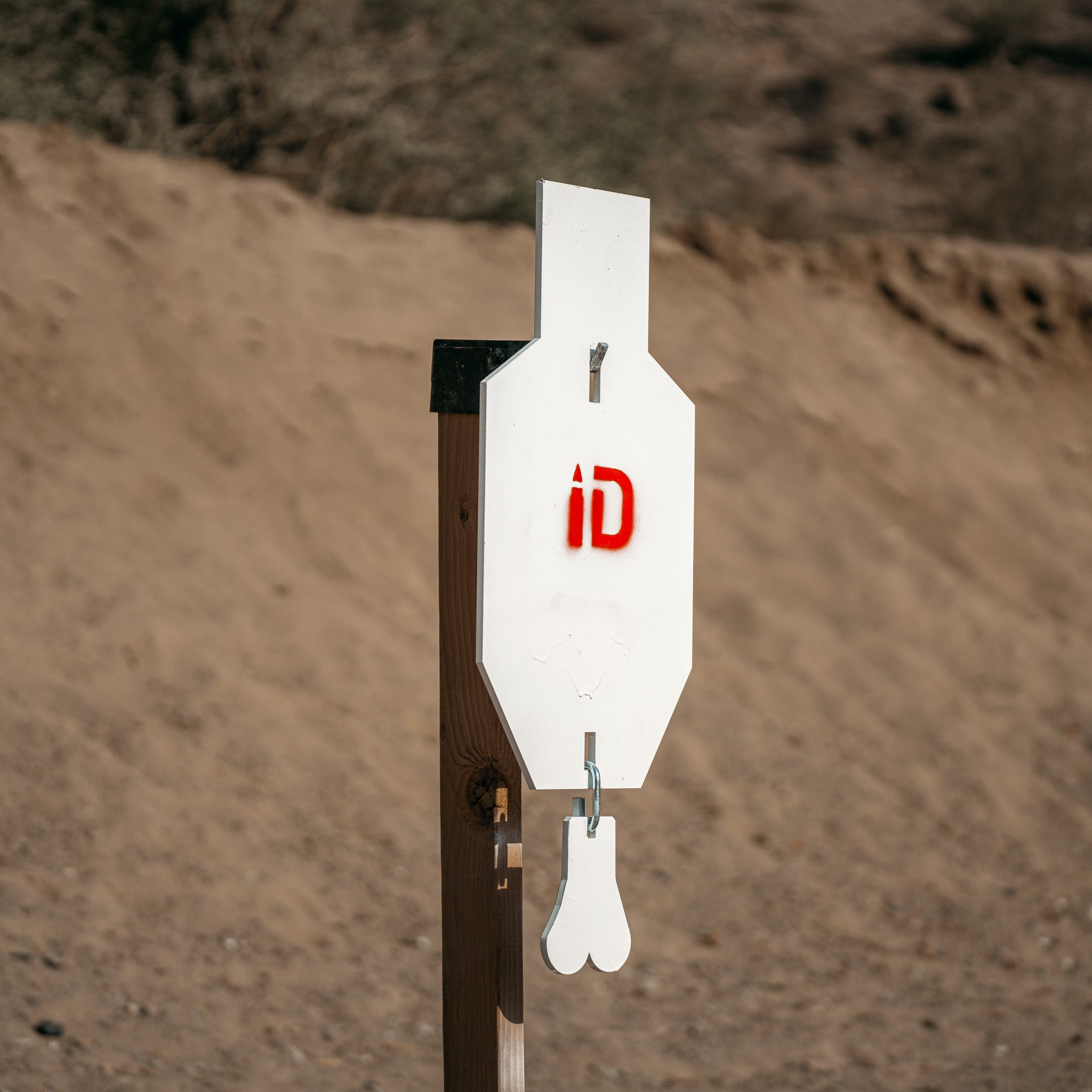 C-Zone Infinity Target Steel (Free Shipping)
