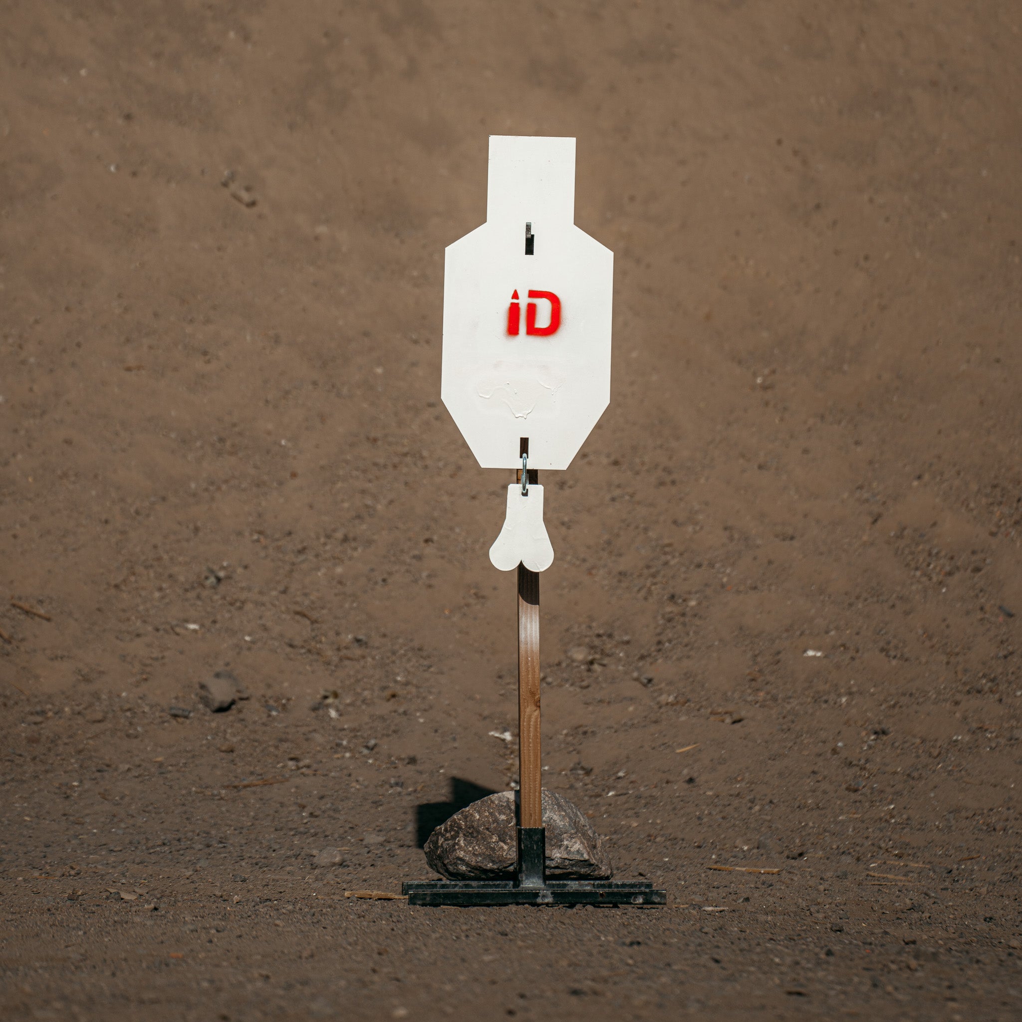C-Zone Infinity Target Steel (Free Shipping)
