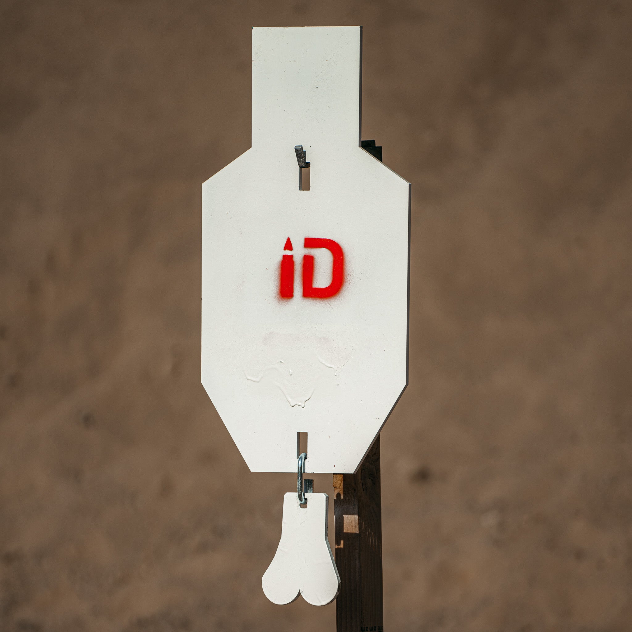 C-Zone Infinity Target Steel (Free Shipping)