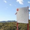 large bullseye B6 target outdoors on stand