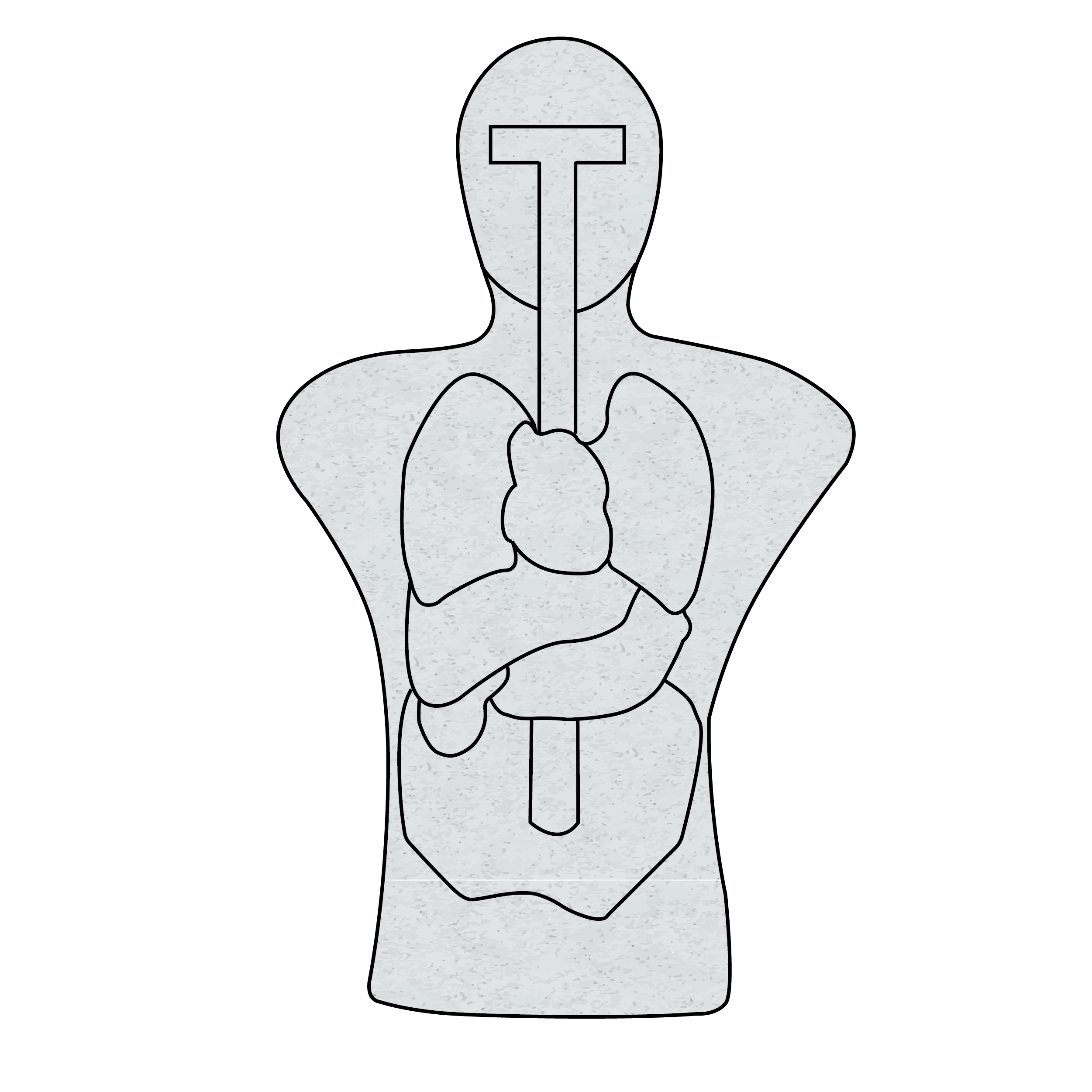 Infinity Torso Target | Infinity Targets