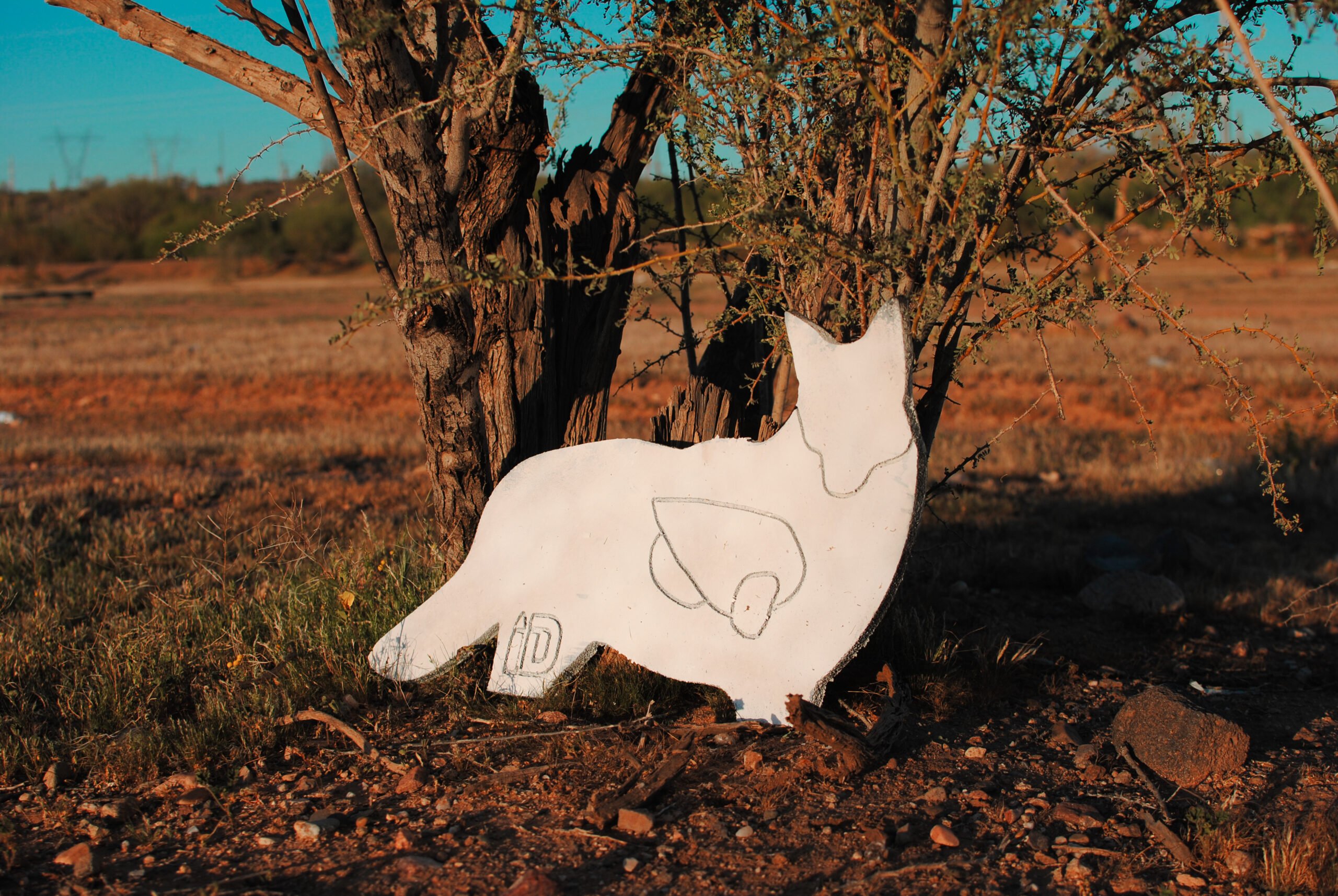 Coyote Infinity Target