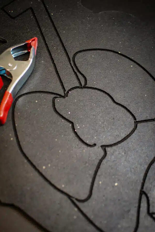 anatomical close up heart and lungs target