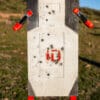 outdoor target on stand wood sticks ID targets