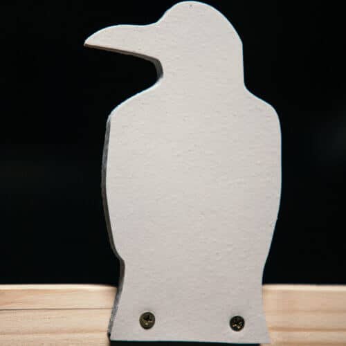 Master Your Shot with the Bird Target Plinker