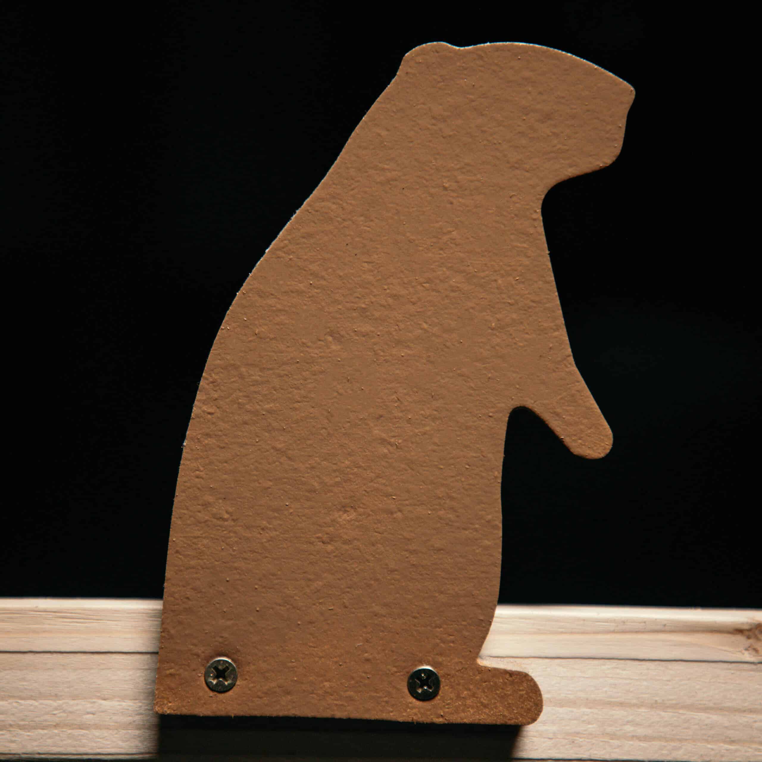 Groundhog Plinker Infinity Target