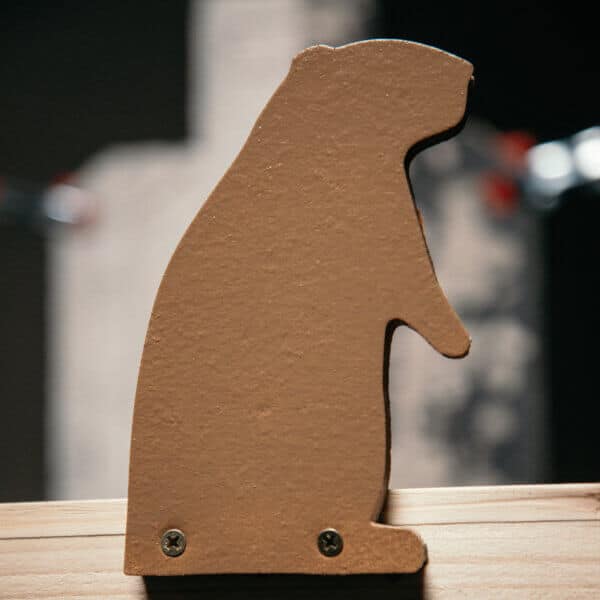 Groundhog Plinker Infinity Target
