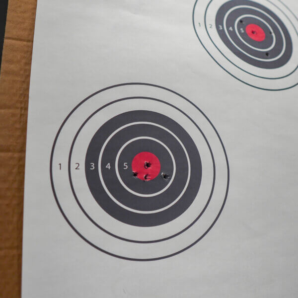bullseye paper target shot up