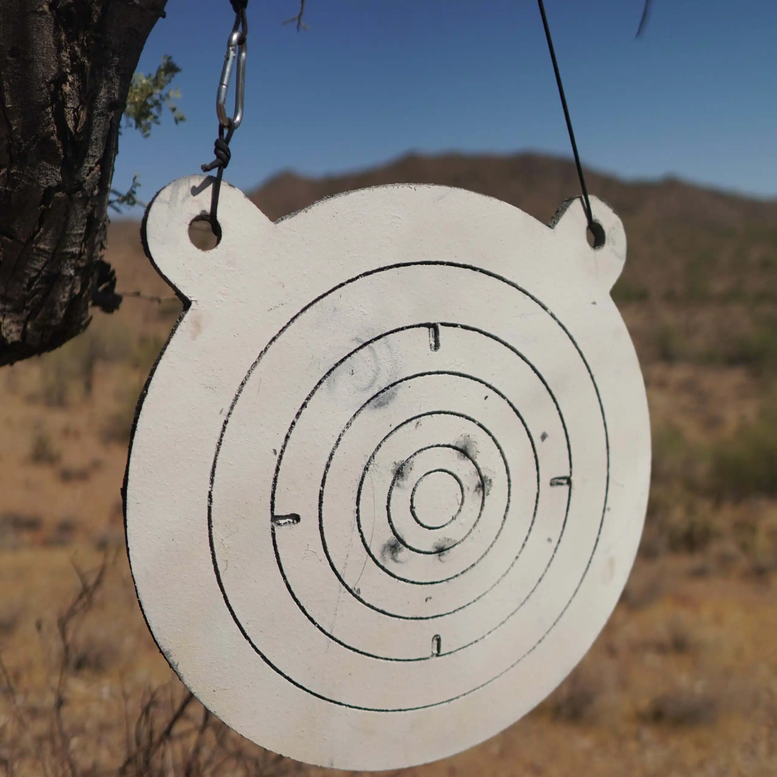 Paracord & Carabiner Target Hanger Replacement (Target Not Included)